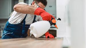 Best Residential Pest Control  in Stony Prairie, OH